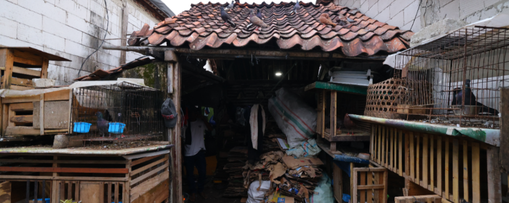 PIK2 TINJAU LOKASI BANTUAN BEDAH RUMAH DI KECAMATAN TELUKNAGA