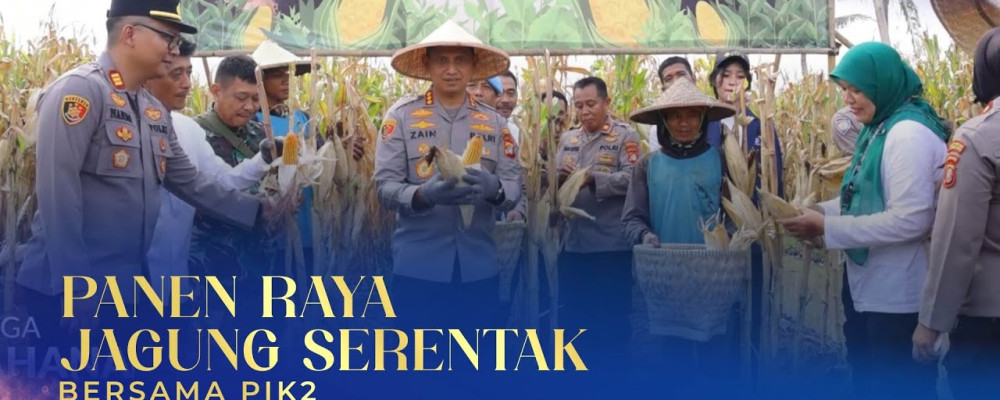 Panen Raya Jagung Serentak bersama PIK2 di Desa Tegal Angus