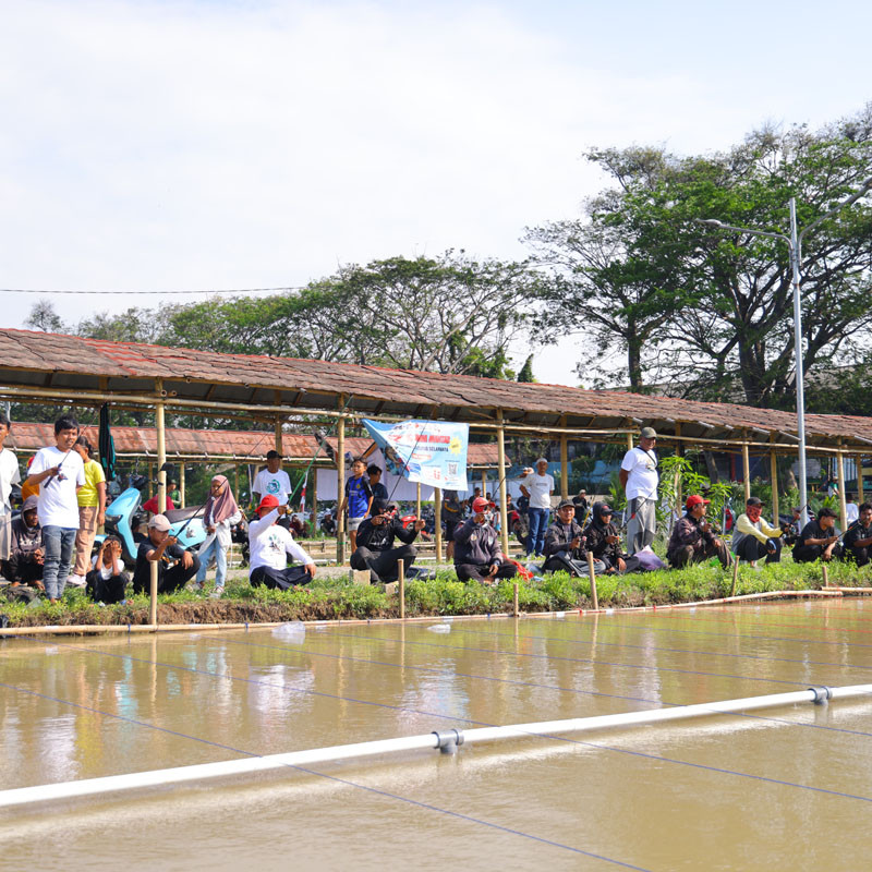 LOMBA MANCING MANIA MANTAB MERIAHKAN KAMPUNG ADIDAYA, TANJUNG PASIR